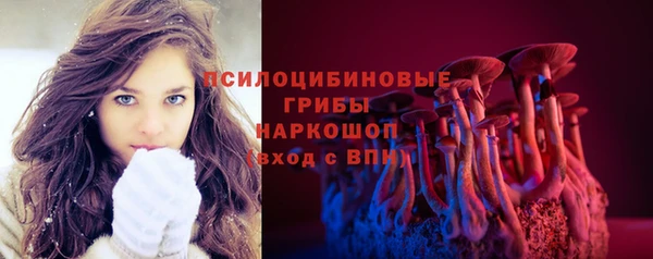 дурь Дмитров