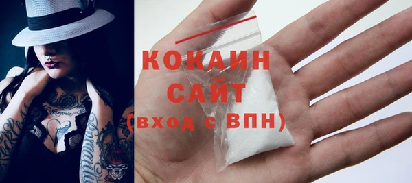 тгк Дмитриев