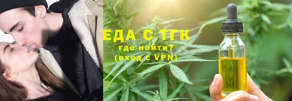 тгк Дмитриев