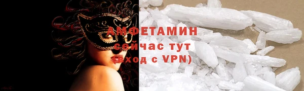 тгк Дмитриев