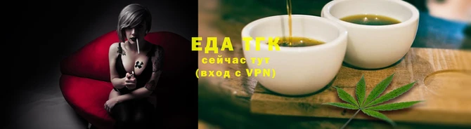 тгк Дмитриев