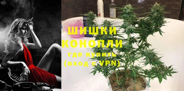 тгк Дмитриев