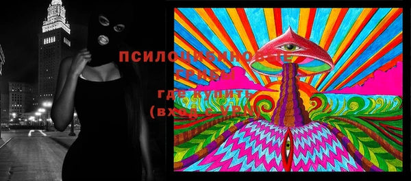 дурь Дмитров
