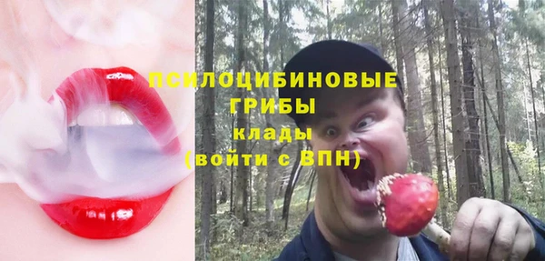 дурь Дмитров