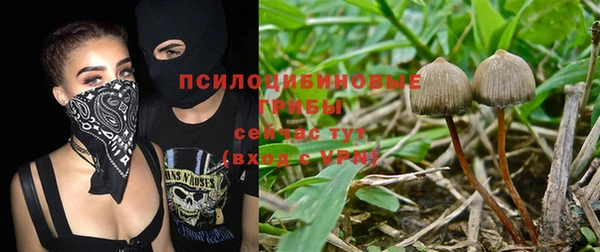 винт Дмитровск