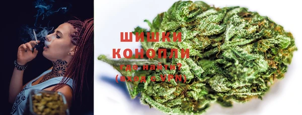 тгк Дмитриев