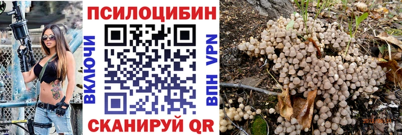 мега как войти  Дудинка  Псилоцибиновые грибы Cubensis 
